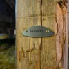 Edelstahlplakette von Barnery für magnetische Trensenhalter befestigt an Holzbalken
